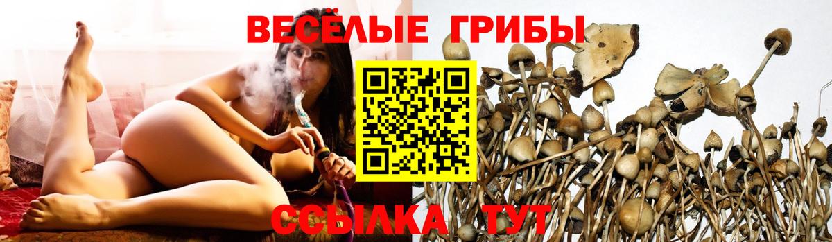 Санкт-Петербург  Псилоцибиновые грибы ЛСД  Галлюциногенные грибы Psilocybine cubensis  закладки  Вход с VPN 
